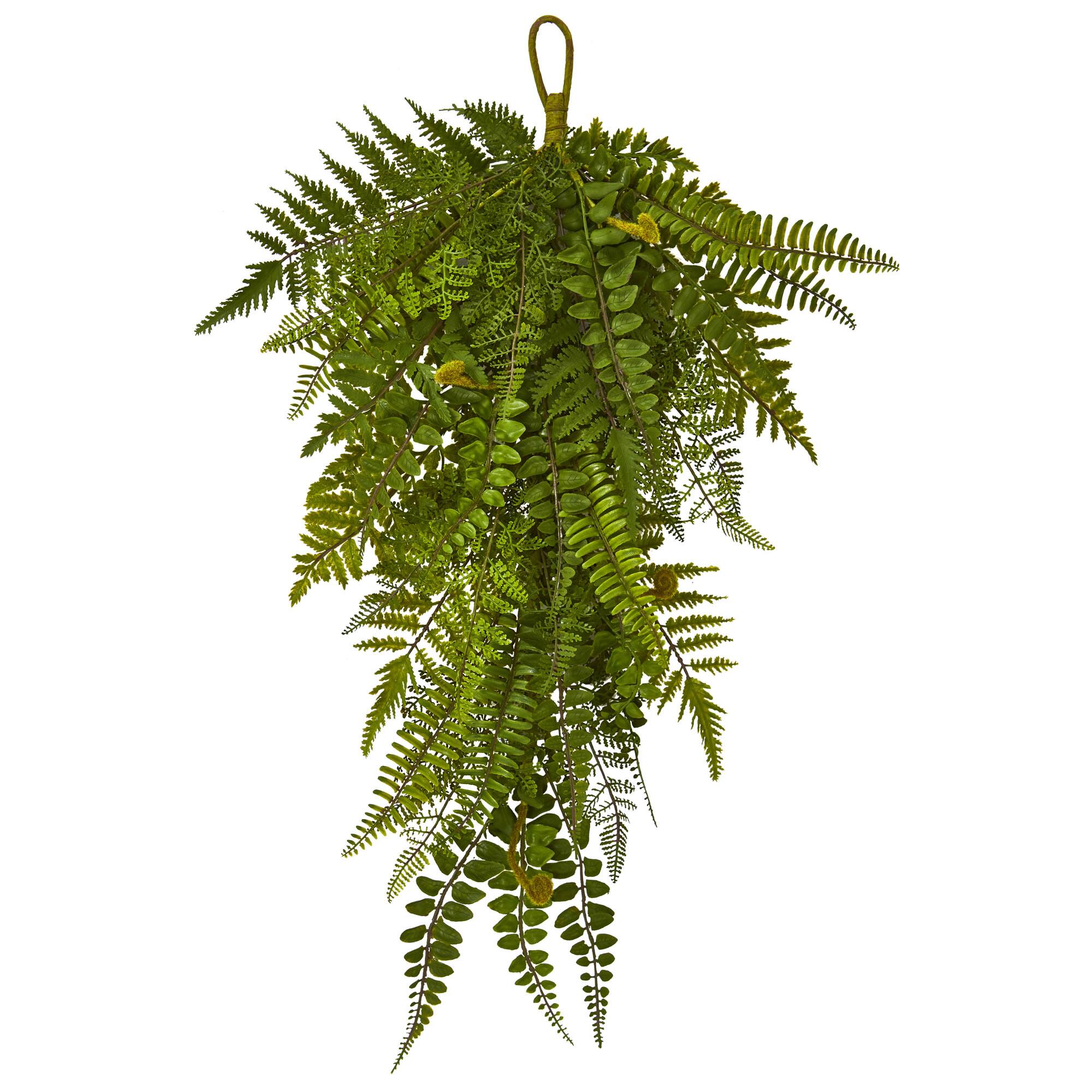 28" Fern Teardrop Swag, 2ct.
